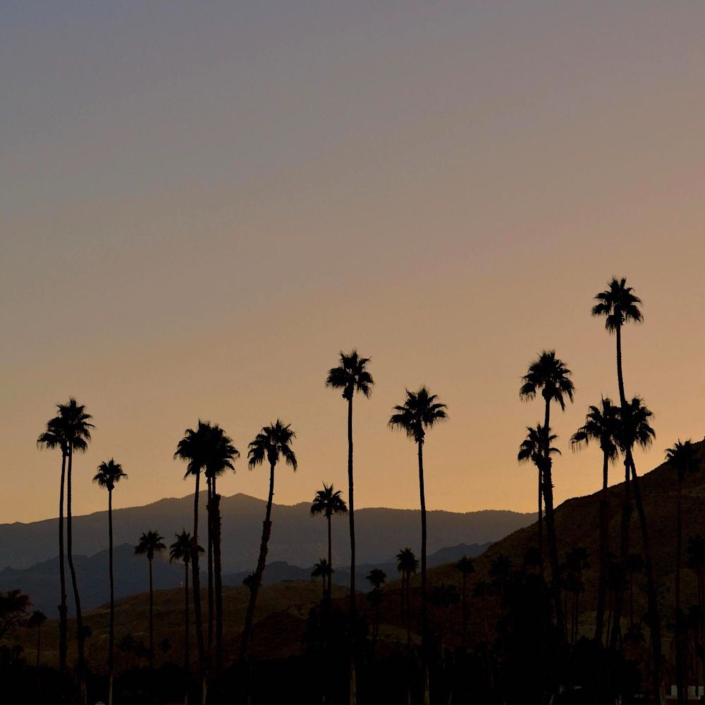 Drift Hotel Palm Springs mountain views